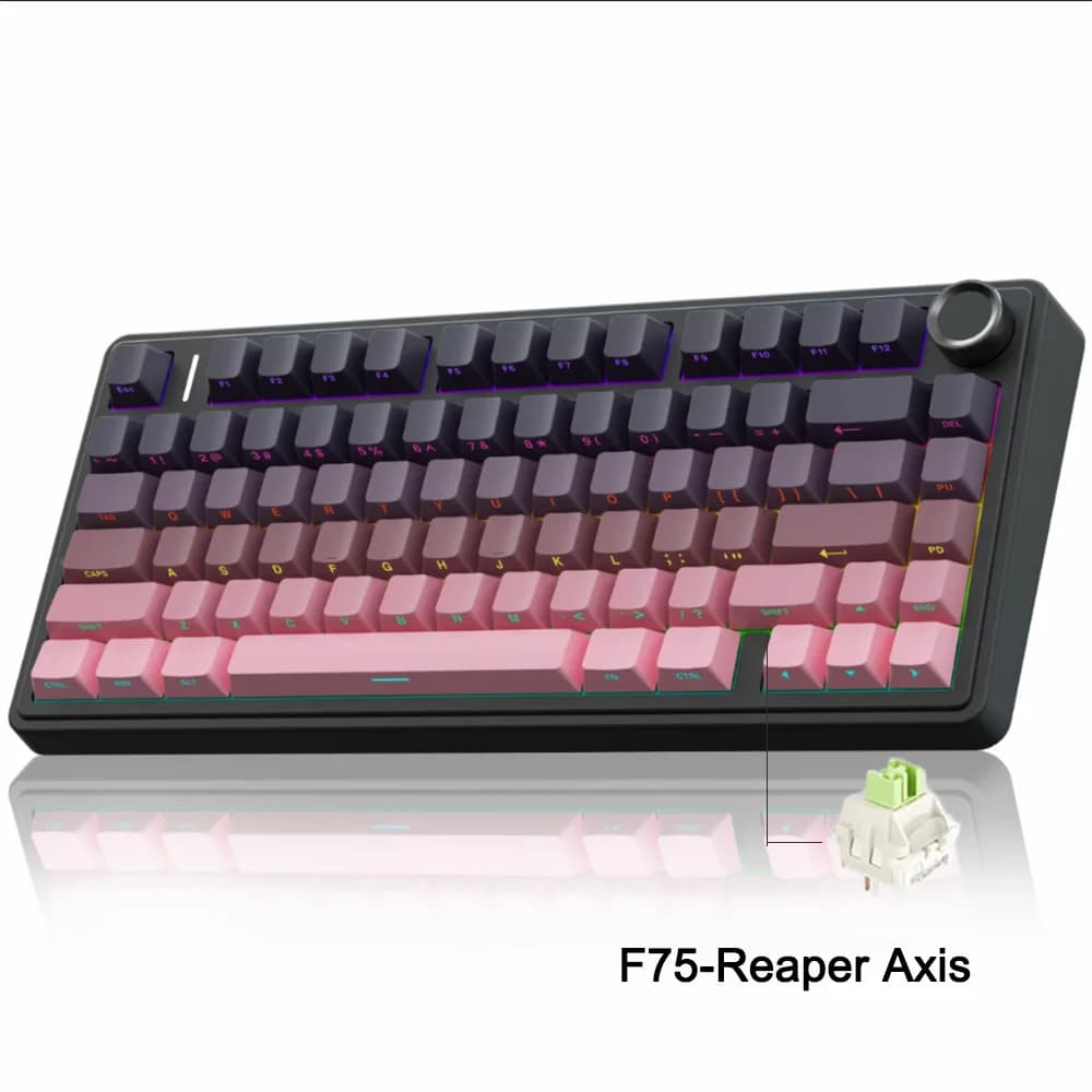 AULA F75 2.4G Wireless/Bluetooth/Tastiera meccanica da gioco cablata RGB Layout personalizzato al 75% Struttura della guarnizione del profilo OEM 12